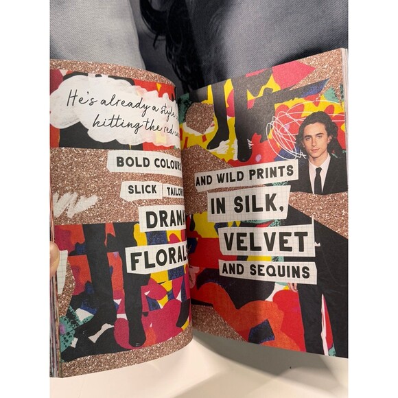 Timothée Chalamet Fan Bundle Decorative Pillows w/ Book Chalamania (Bx 21) - Picture 8 of 8